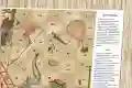Место для правил игры